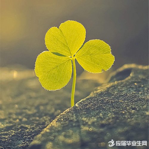 ������־ǩ������