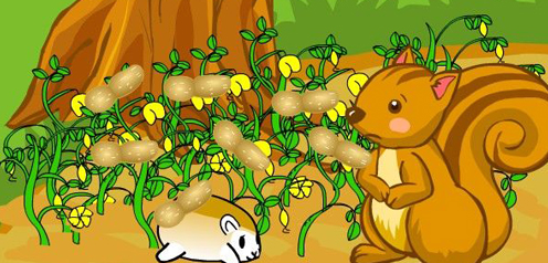 �����ֻ����Ĺ���