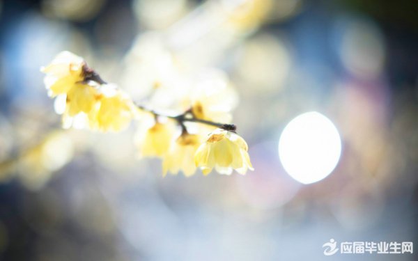 ����С���¸�������