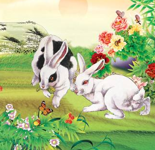 ������йصĹ���