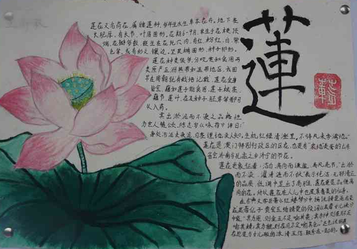 ���ںɵ��ֳ���