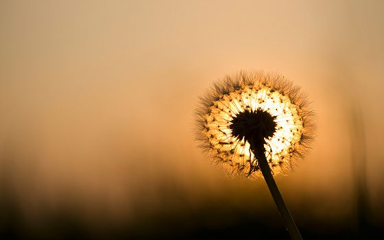 �˸�˵˵Ψ��