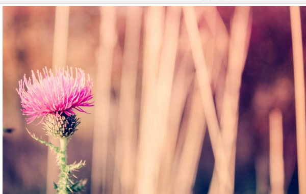 һ�����˸�������˵˵