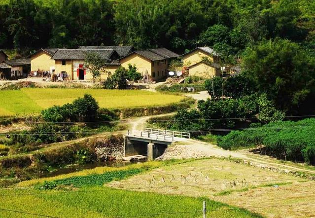 ���������ʫ��