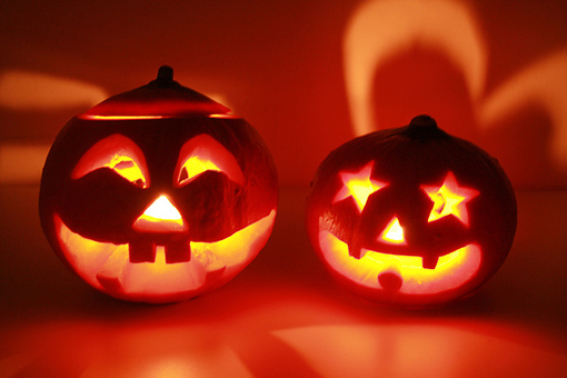 ��ʥ��������С����