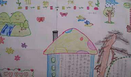 ��̽���ֳ�������