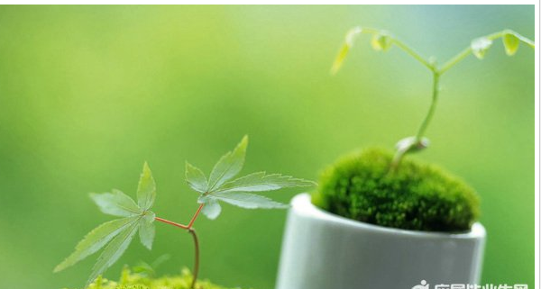 关于刚恋爱的说说 关于刚恋爱的说说