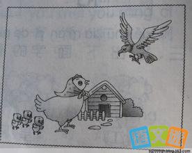 ��ӥ׽С���Ŀ�ͼд��