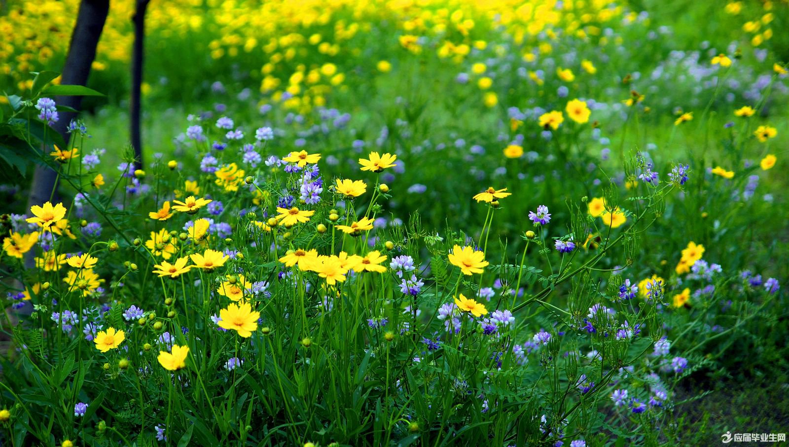 д������ɢ��д��