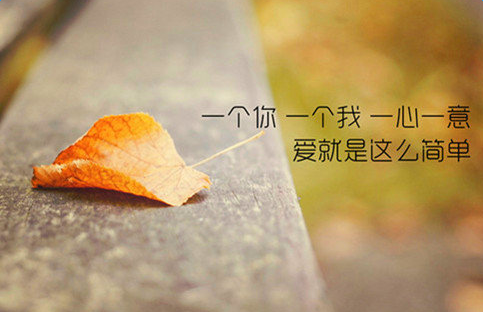 ��д������ִ�ʫ��