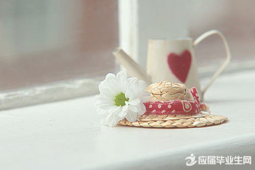 ������������ǩ�����