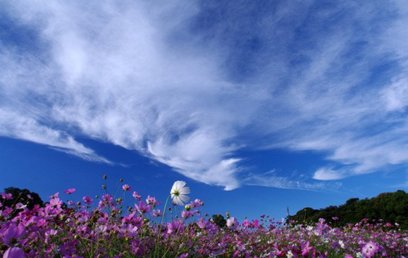 �н��������3��С����