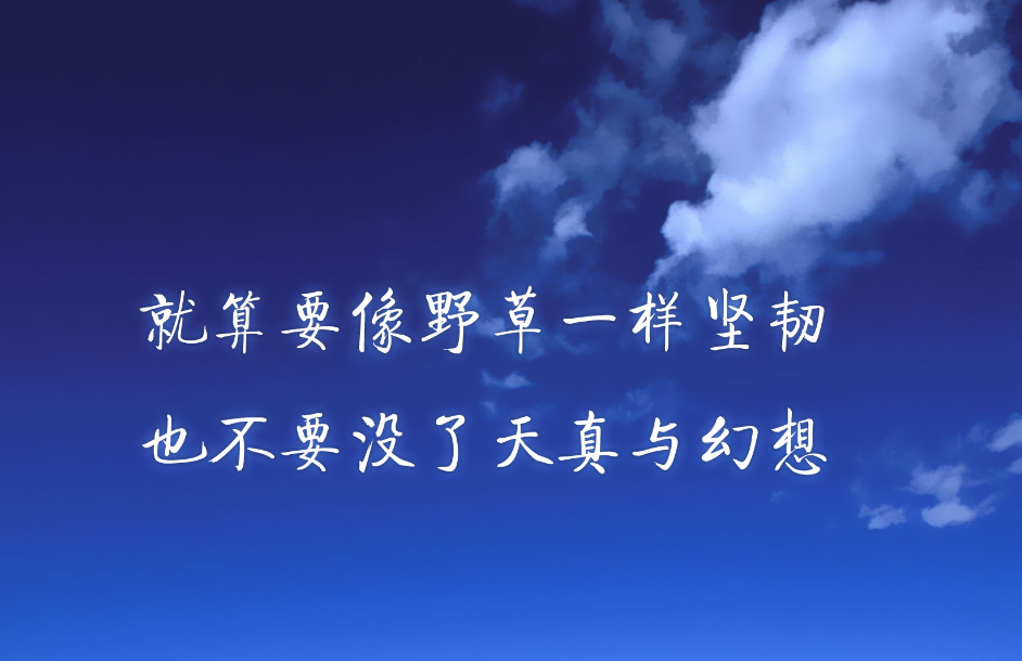 ����������־˵˵