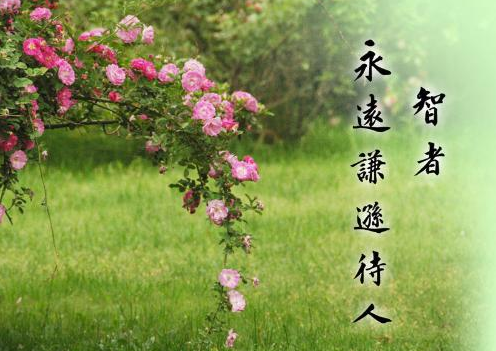 ����������־˵˵