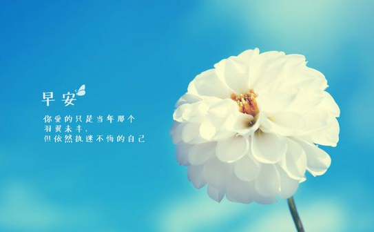 ����������־˵˵