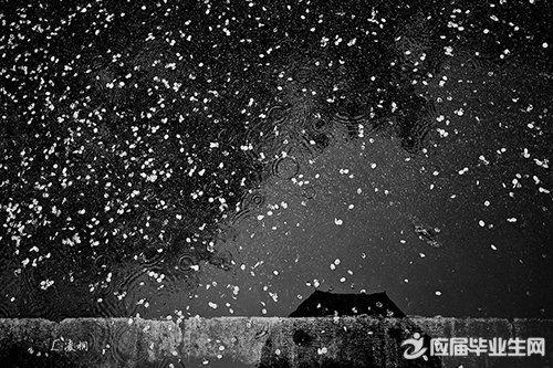 ����˵˵�˸ж����ȫ