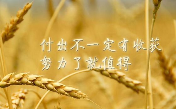 ����Ȧ������˵˵��ͼ