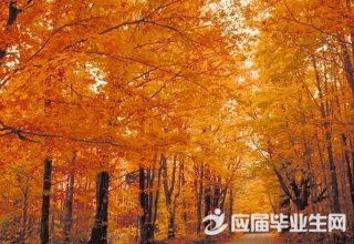 ���������ʫ������Щ