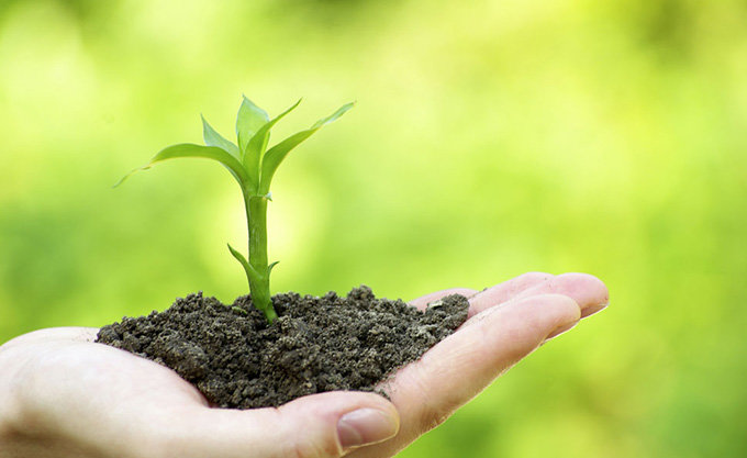 ����׶��ҵĳɳ�����