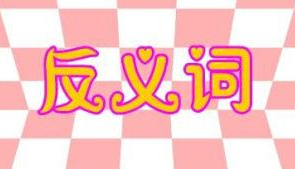 追求的反义词是什么