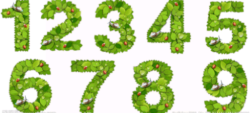 ��������ĳ���