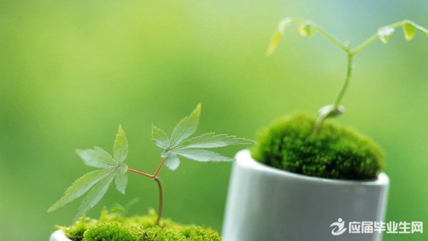 2017��ѡ������������˵˵��ȫ