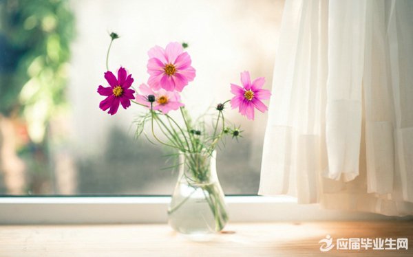 13����������С����