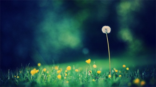 �й������������˵˵