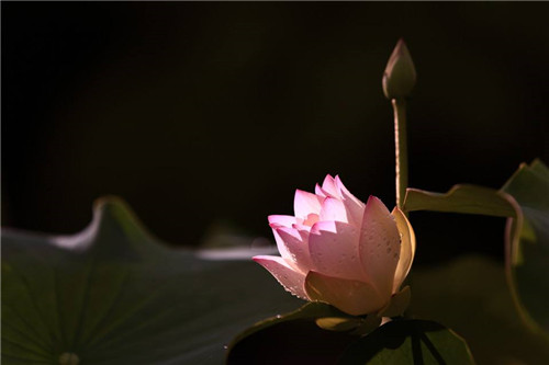 �������򾭵����ǩ��