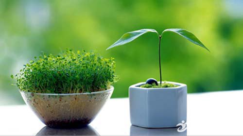 �Ŵ�����С����