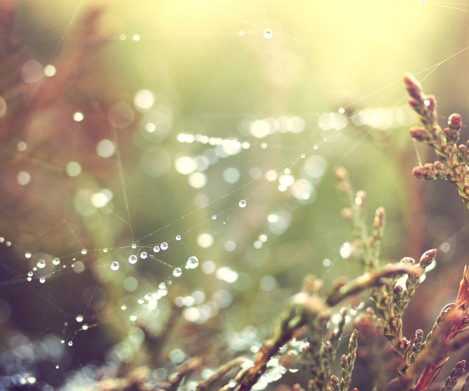 Êյķ´Òå´ÊÊÇË