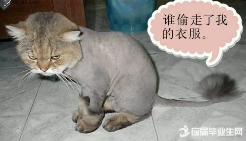 搞笑可爱说说心情短语