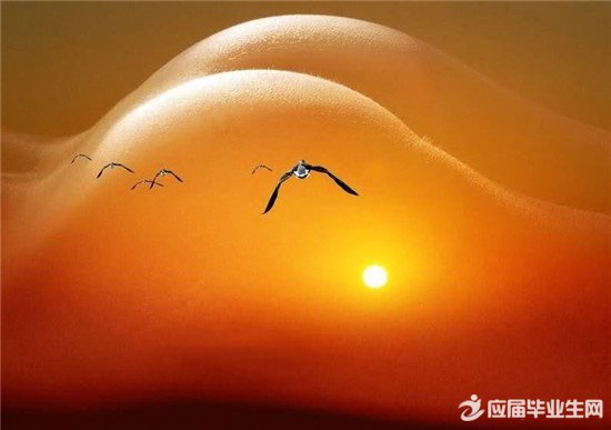 生活的至理名言个性签名 生活的至理名言个性签名