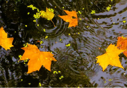 ������������ִ�ʫ��