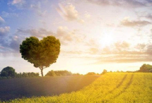 �ܶ���־��˵˵