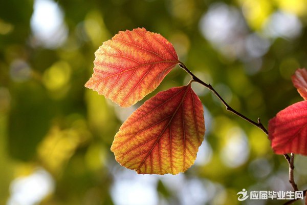 �������صĸ���ǩ��