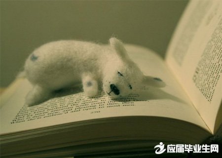 ������־���Ե�ǩ��