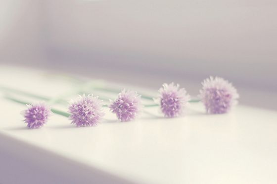 ���¸���ǩ��