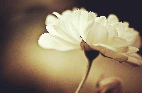 ������־ʫ��