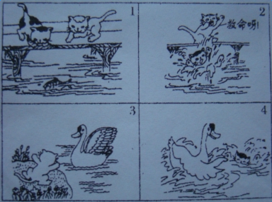 Сѧ���꼶��ͼд�����ģ�Сè�þ���