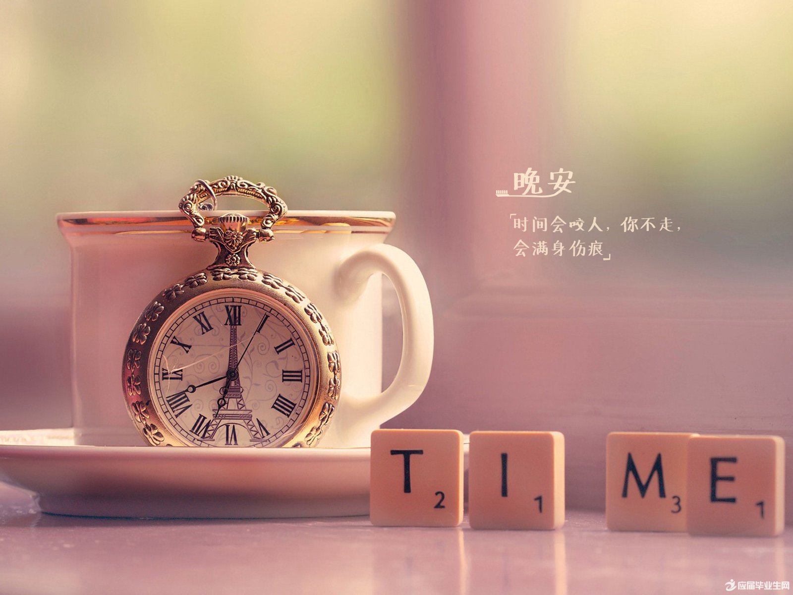 ��������˵˵