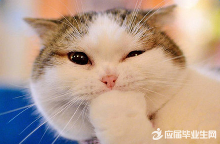 ����������������ǩ��