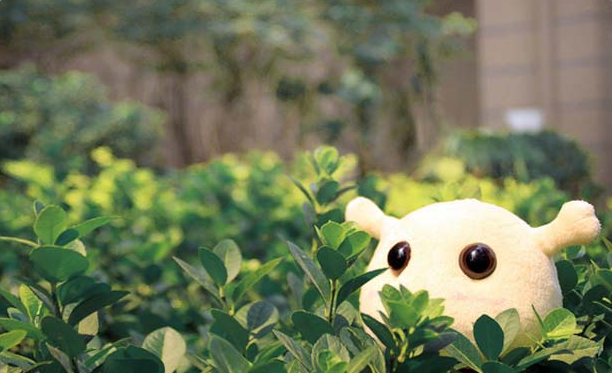 个性签名一句话致自己 个性签名一句话致自己