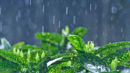 ����ɢ�ģ���ˮ����