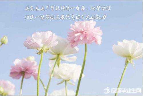 �Ѱ��ж���ʫ��