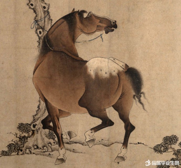 关于马的小故事