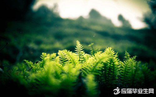 心情好的说说大全