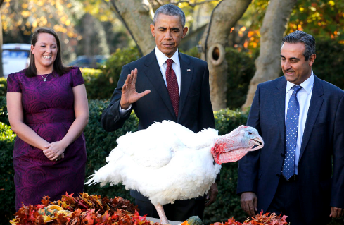 �ж�������𼦵Ĺ���