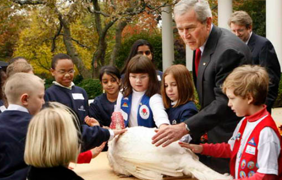 �ж�������𼦵Ĺ���