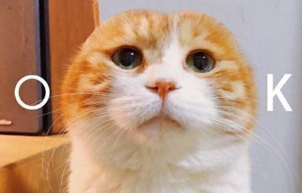 �������õ�˵˵ͼƬ